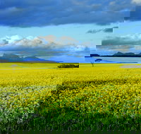 Borden - Attractions Brisbane