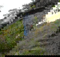 Bundidgerry Walking Track - Attractions Brisbane