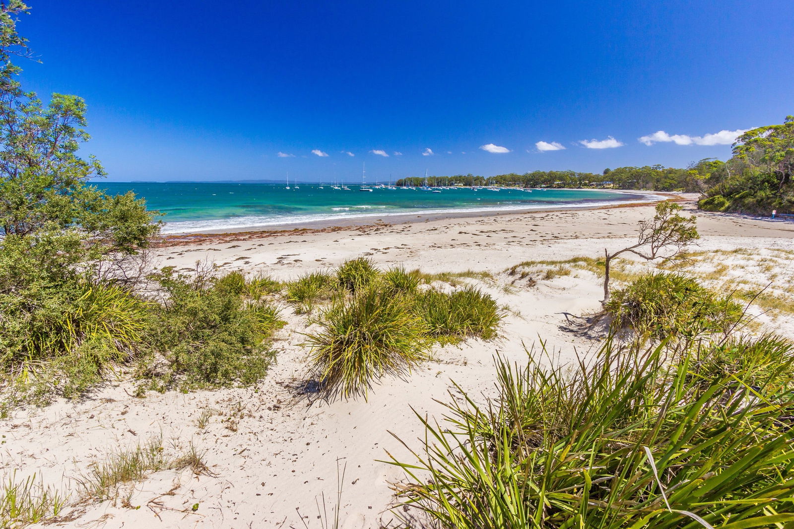 Callala Bay NSW Attractions Brisbane