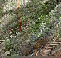 Caleys Lookout Track - Attractions Brisbane