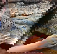 Canberra Reptile Zoo - Attractions Brisbane