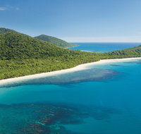 Cape Tribulation Daintree National Park - Attractions Brisbane