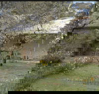 Castlemaine Diggings National Heritage Park - Attractions Brisbane