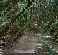 Cascades Walk - Attractions Brisbane