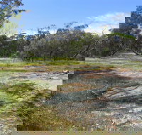 Christmas Rock Walk - Attractions Brisbane