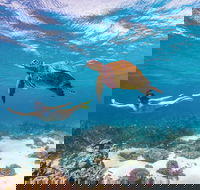 Coral Bay - Attractions Brisbane