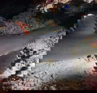 Coral Gardens - Attractions Brisbane