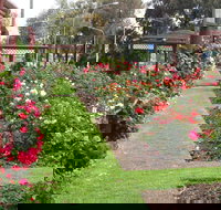 Cowra Rose Garden - Attractions Brisbane