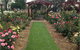 Cowra Rose Garden - thumb 1