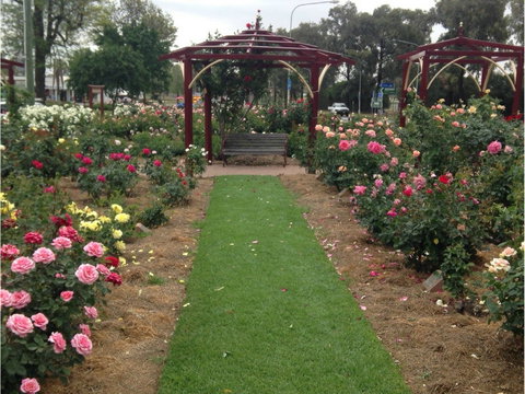 Cowra Rose Garden - Attractions Brisbane 1