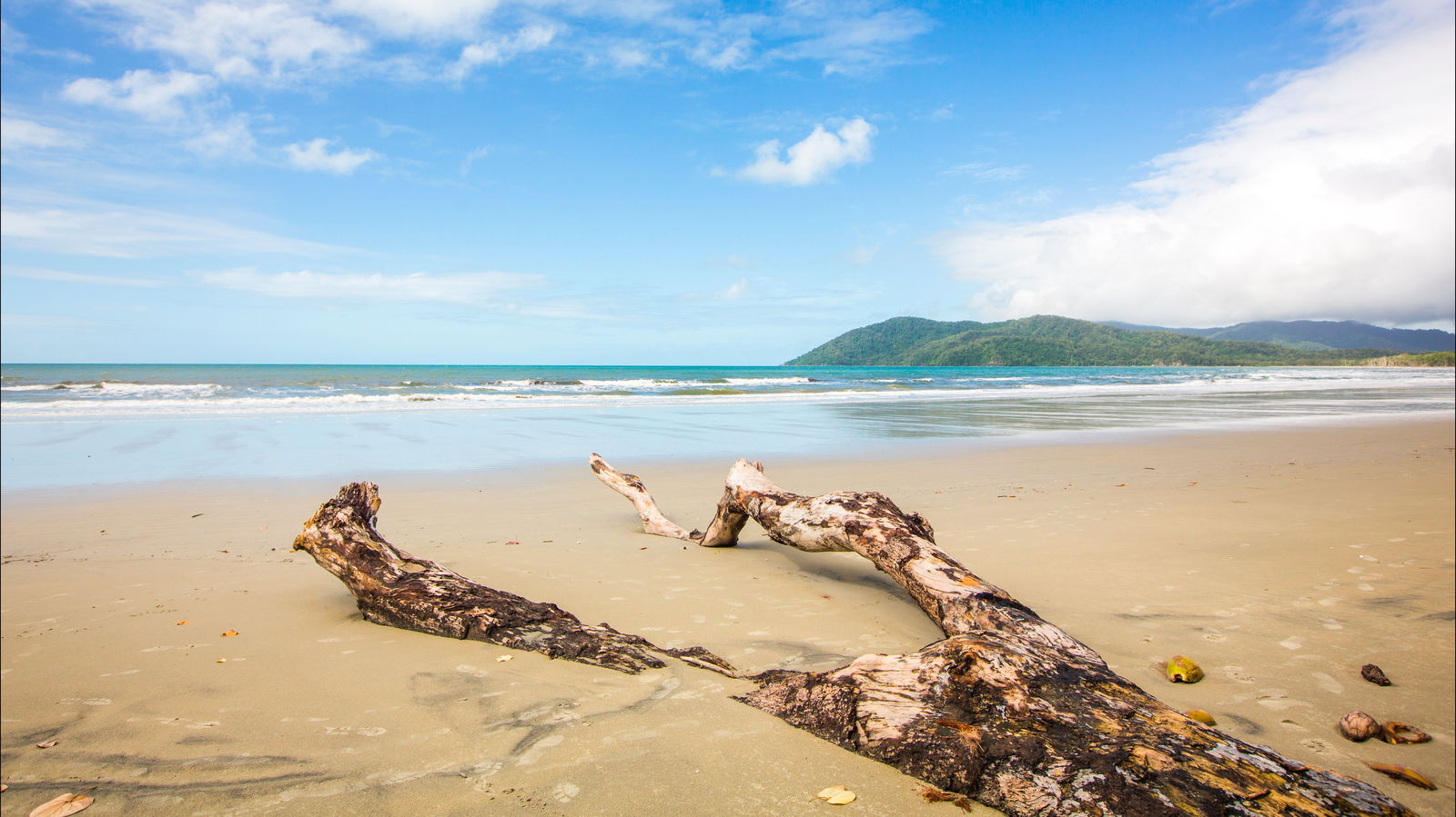 Cow Bay QLD Attractions Brisbane
