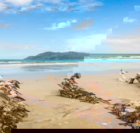 Cow Bay - Attractions Brisbane