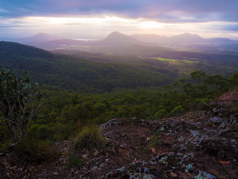 Cunninghams Gap And Spicers Gap, Main Range National Park - Attractions Brisbane 0