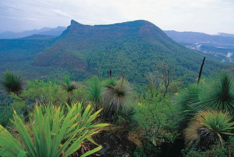Cunninghams Gap And Spicers Gap, Main Range National Park - Attractions Brisbane 1