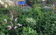 Down To Earth Permaculture - thumb 0