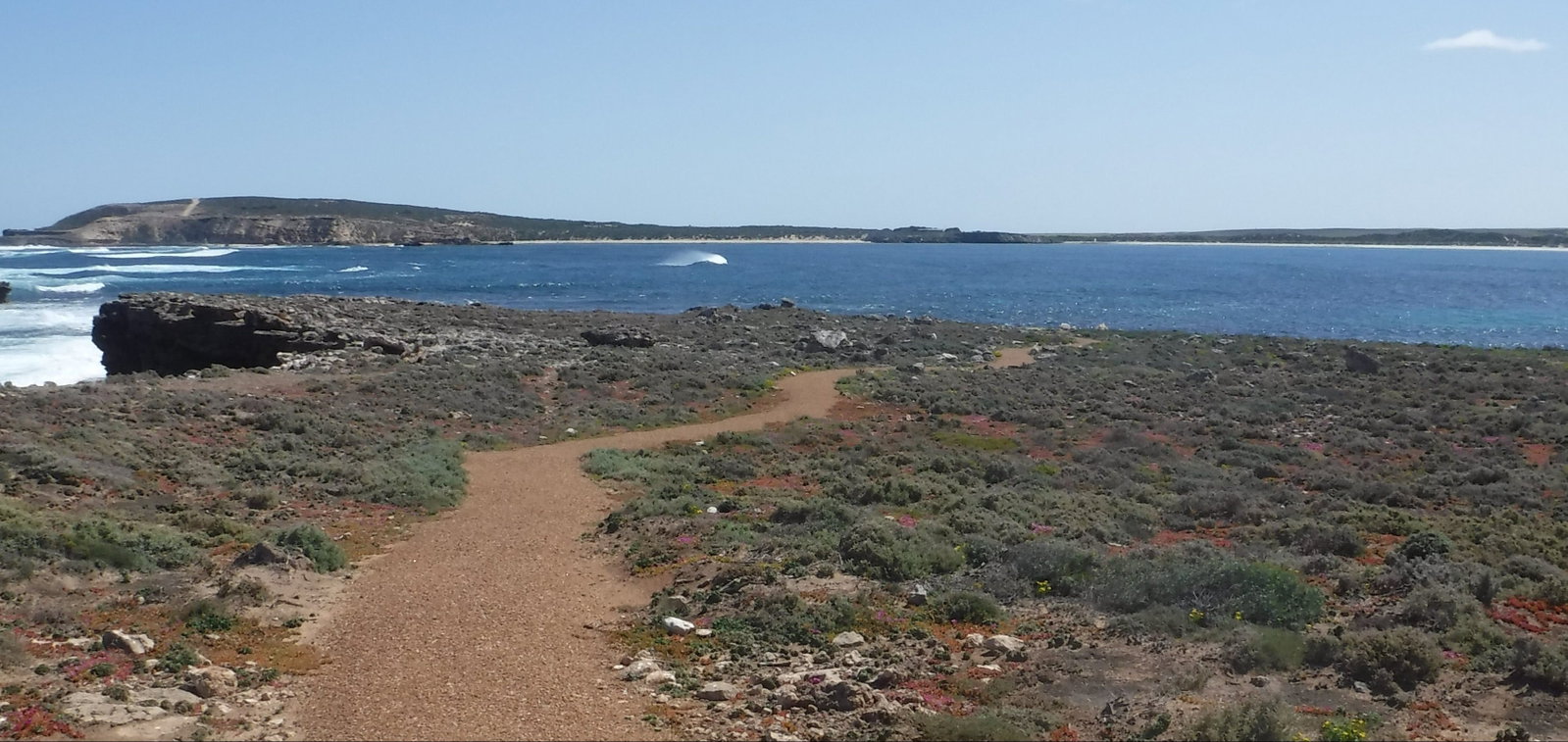 Elliston SA Attractions Brisbane