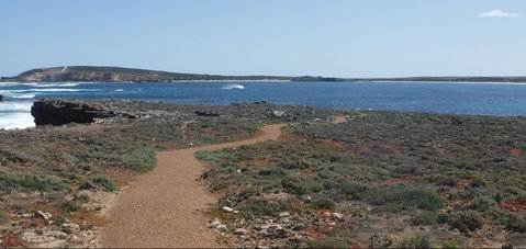 Elliston Coastal Trail - Attractions Brisbane 0