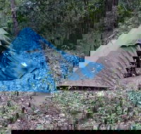 England Creek Bush Camp - Attractions Brisbane