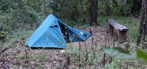 England Creek Bush Camp - Attractions Brisbane 0