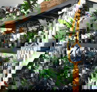 Fancy Plants - Attractions Brisbane