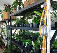 Fancy Plants