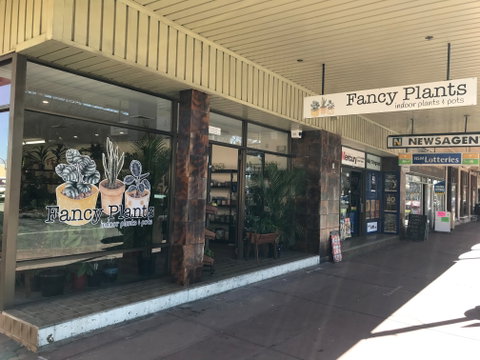 Fancy Plants - Attractions Brisbane 1