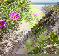 Fort Bribie - Attractions Brisbane