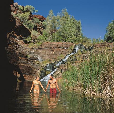 Fortescue Falls - Attractions Brisbane 0