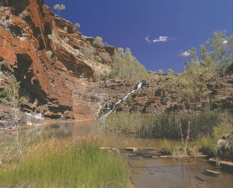 Fortescue Falls - Attractions Brisbane 1