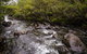 Gloucester River Walking Track - thumb 0