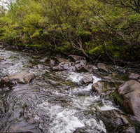Gloucester River walking track - Attractions Brisbane