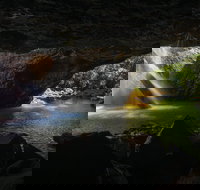 Gondwana Rainforests of Australia World Heritage Area