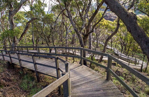 Governor Summit (Corrunbral Borawah) Walking Track - Attractions Brisbane 0