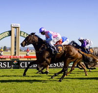Hawkesbury Race Club - Attractions Brisbane