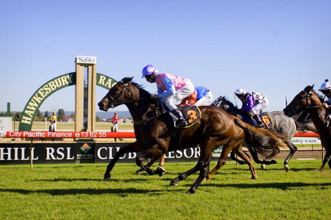 Hawkesbury Race Club - Attractions Brisbane 0