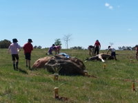 Jim Salmon  Wetland Education Site