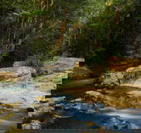 Jumrum Creek Walk Jumrum Creek Conservation Park - Attractions Brisbane