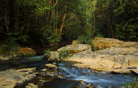 Jumrum Creek Walk, Jumrum Creek Conservation Park - Attractions Brisbane 0