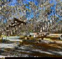 Kaiserstuhl Conservation Park - Attractions Brisbane