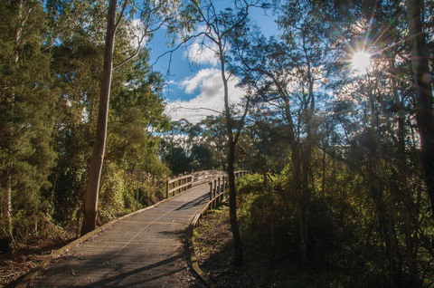 Koomba Park - Attractions Brisbane 0