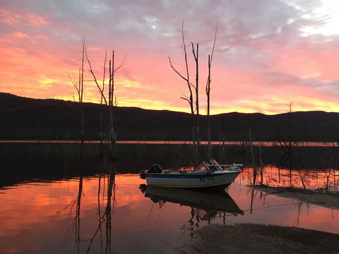 Lake Bellfield - Attractions Brisbane 0