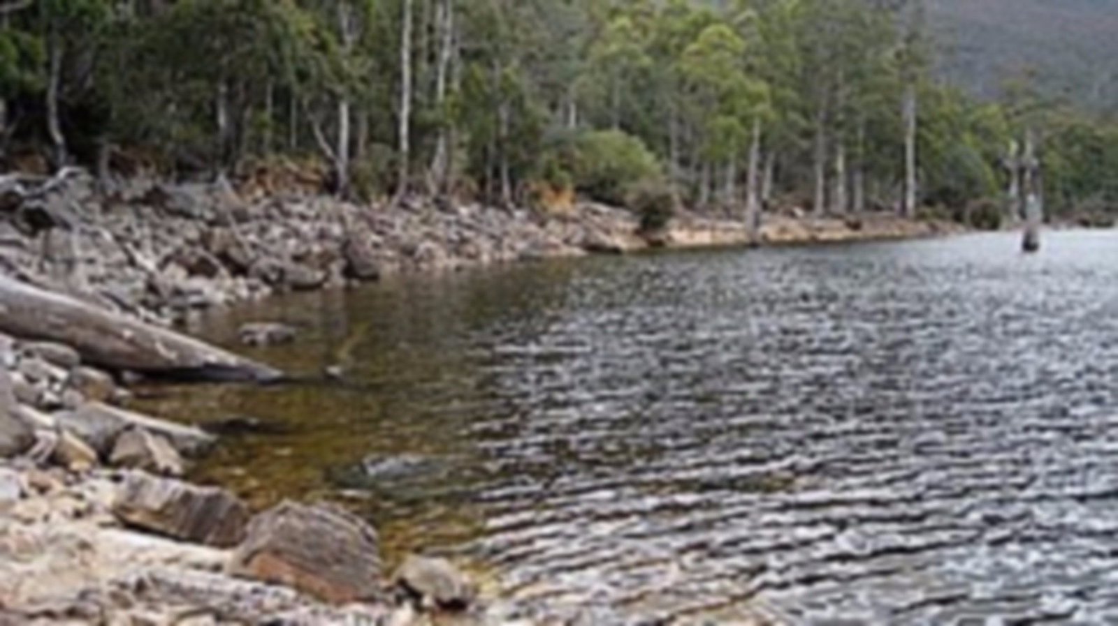 Liena TAS Attractions Brisbane
