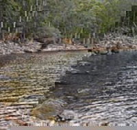 Lake Rowallan - Attractions Brisbane