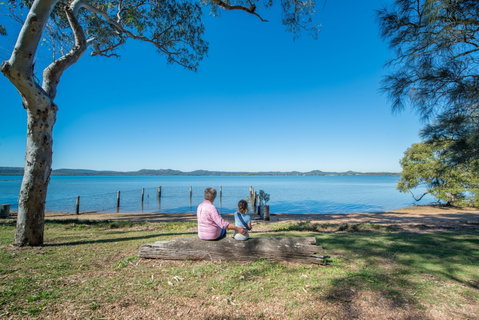 Lamb Island (Nguderoo) - Attractions Brisbane 0