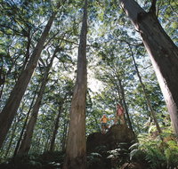 Leeuwin-Naturaliste National Park - Leeuwin - Attractions Brisbane