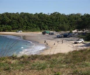 Little Bondi Beach - Attractions Brisbane 2