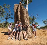 Magnetic Termite Mounds - Attractions Brisbane