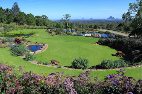 Maleny Botanic Gardens And Bird World - Attractions Brisbane 2
