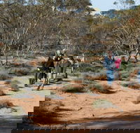 Mallee Stop walking track - Attractions Brisbane