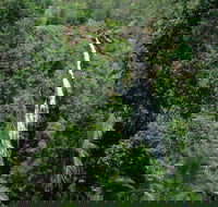 Mapleton Falls National Park - Attractions Brisbane